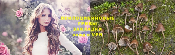 дурь Армянск