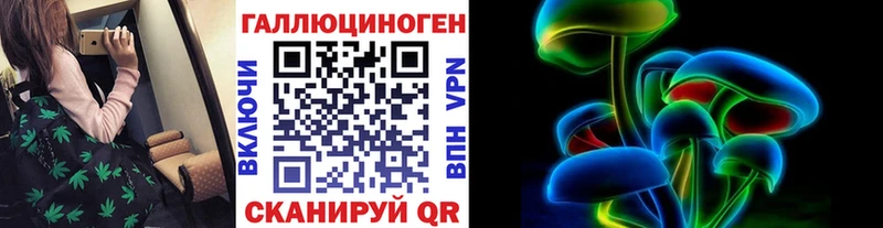 Галлюциногенные грибы Psilocybine cubensis  Купить  Вихоревка 